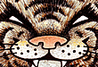 ScaryCat Studio